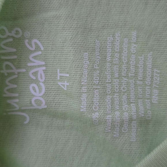 JUMPING BEANS TODDLER BOYS SHORT SLEEVES TEE-SHIRTS BUNDLE OF 2 SIZE 4T - Picture 6 of 9